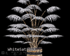 SILVER SAFARI PALM REF