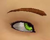 Auburn eyebrows