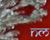 bridal dupatta 2.0
