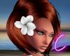 http://userimages01-akm.imvu.com/productdata/images_cb7bc278011237b313e6df0d8280cd49.jpg