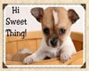 Hi Sweet Thing