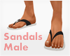 *Sandals #2 Male