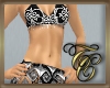 TC~ Arabian Black