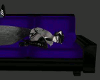 [am] Purple Furry Couch