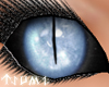 ~Tsu Ice DragonDoll Eyes
