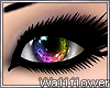 . Rainbows