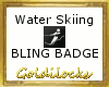 Water Skiing Badge