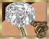 TC~ Big Diamond Ring R