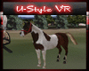 Brown and White Horse +