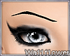 . Scab Eyebrow