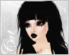 Cat| Lita Blk