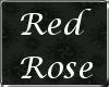 [HK] Red Rose Skin