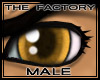 TF Anime Eyes Hazel