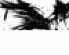 Black Wings