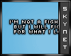 Fighter