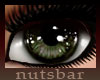 forest brown By nutsbar