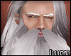 Wizard Beard [der]