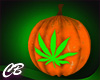 CB Pot Leaf Pumpkin