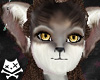 Timber Wolf Fur (F)