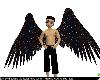 Galaxy wings
