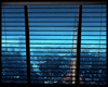 Open & Close TRIG Blinds