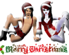 Christmas Greeting