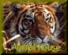 Animal House