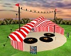 Big Top Circus Tent 