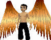 Goddess of Fire Wings
