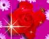 Flowers Sparkling Rose