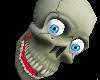 Skull Head Pet