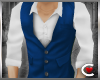 *SC-Vestage Top Blue