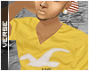 V|Hollister logo v.1