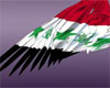 Wing's Iraq flag