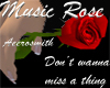 Music Rose-Aerosmith