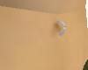 BellyRing w Wiccan Chant