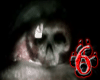 Skull Eyes (M)