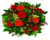 Dozen of Red Rose Sticke