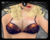 Product Image for . sadie lingerie_1
