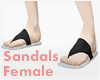 *Sandals #1 Female