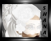 Wedding white roses hair