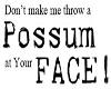 *13* Possum at yer face