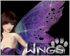 Eolande Fairy Wings