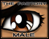 TF Manga Eyes Brown