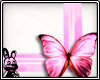 Pink Butterfly Frame