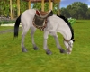 Animated Horse