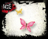 [I] Butterfly