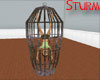 Iron Maiden Cage