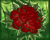 Bouquet of Red Roses