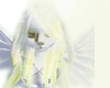 lilaprofile sticker